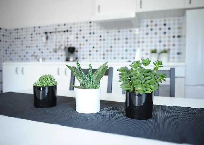 First * Ζαντάρ